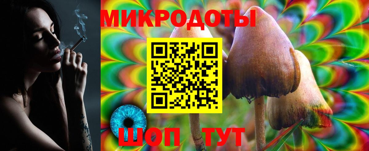 Бошки Шишки Касимов