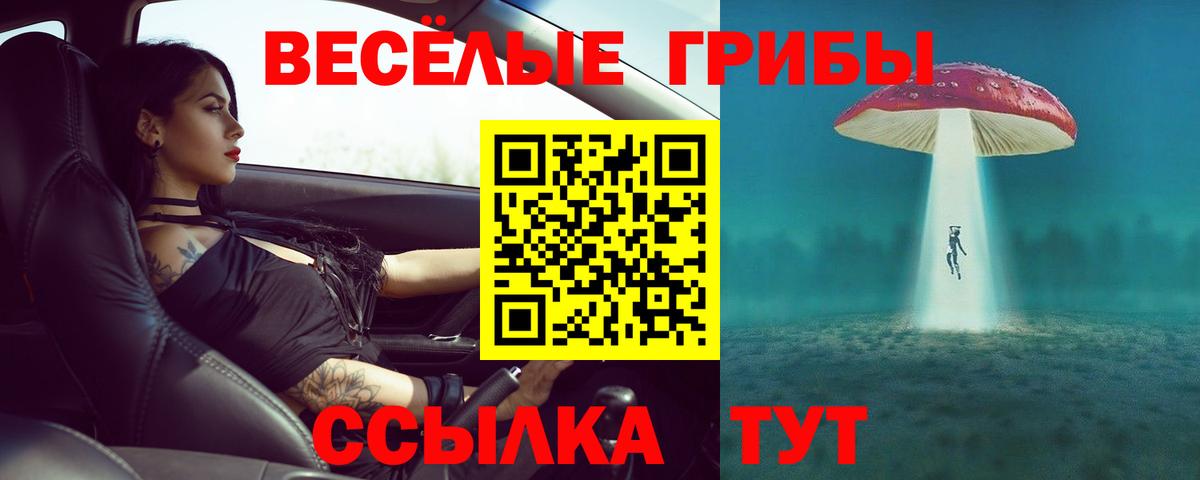 Касимов  Галлюциногенные грибы Magic Shrooms  Вход с VPN 